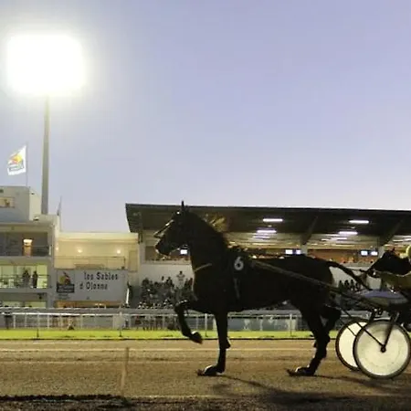 Le Pied D'alouette Maison 8 Personnes, Village Vacances, Au Coeur D'un Golf 18 Trous, Accès Piscines Gratuit Hébergement de vacances Talmont-Saint-Hilaire