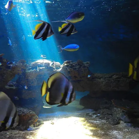 Le Pied D'alouette Maison 8 Personnes, Village Vacances, Au Coeur D'un Golf 18 Trous, Accès Piscines Gratuit